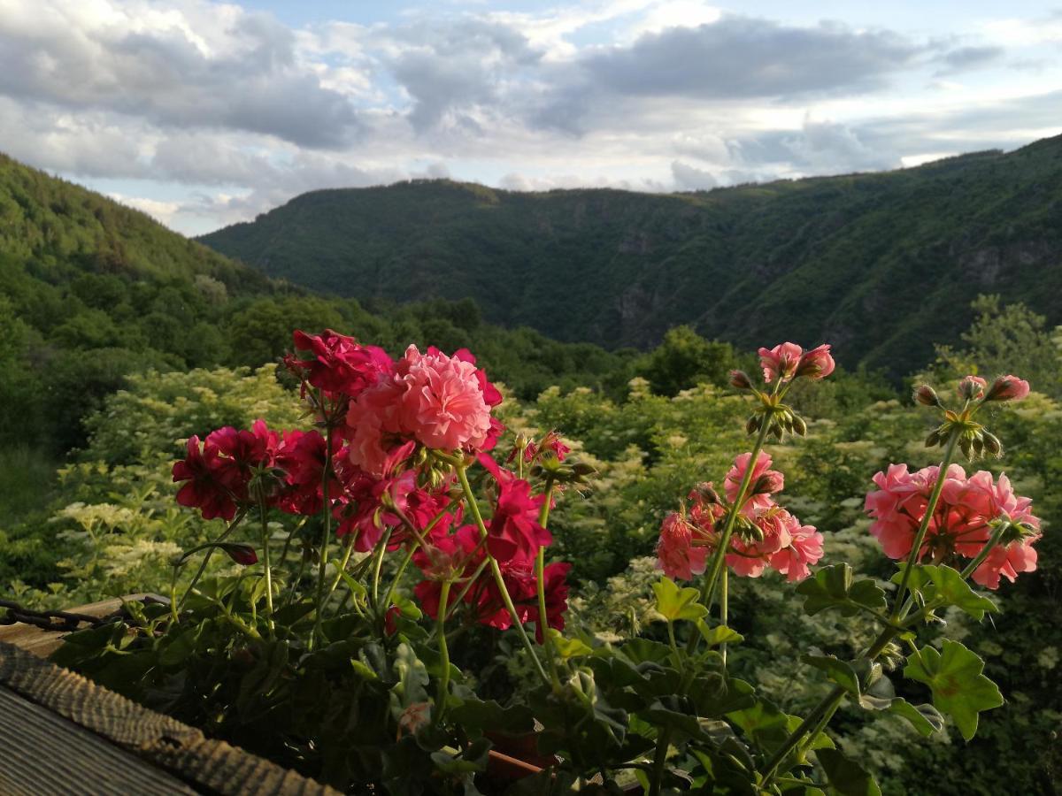 Kesta Za Gosti Kanush Voyvoda Kovachevitsa Bagian luar foto